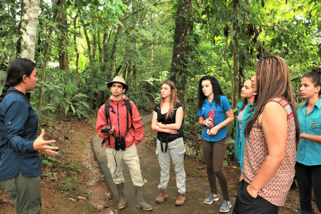 Caminata Guiada en la Selva Tropical de Sarapiquí Photo